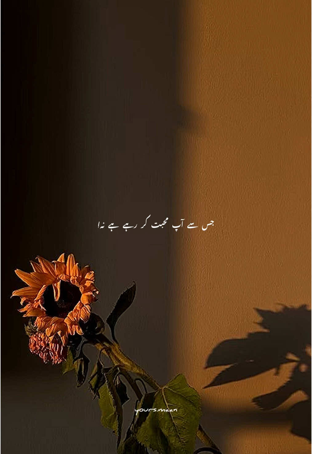 🙃✨🕊️... #fyp #viral #peerajmalrazaqadri #aestheticvideos #yours_sami53 