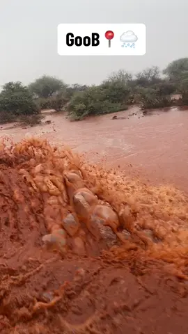 #faraska cad#🇸🇴🇸🇴❤️somalitikt #waqooyibaristate🐎🤍💚💙 #buhoodle🐎 #fyp #foryou #goob 