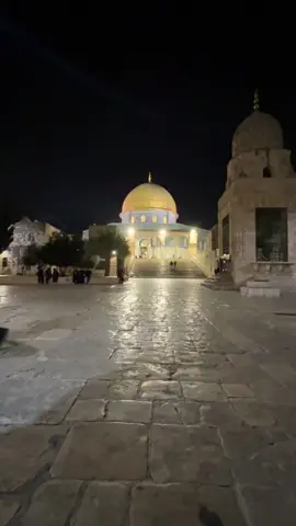 ‏فلسطيني وأفتخر ابن اللد#اكسبلور #🤲 #