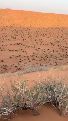 #fyp #لايكات #الهاشتاقات_للشيوخ #لايك__explore___ #ترند_تيك_توك 