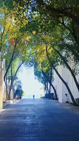 برج الاسد 🦁