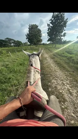 #coleo #mi #pasion #❤️🐴 