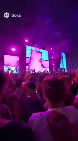 POV: When your grandmas accidentally end up at Tomorrowland Brazil 😭🔥 #EDM #tomorrowland #party #grandma #crazy