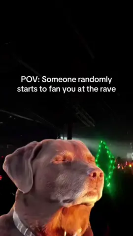 #fyp #viral #edit #relateable #pov #rave #party #funnyvideos #meme 
