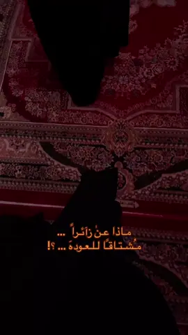 #الشعب_الصيني_ماله_حل😂😂 #مالي_خلق_احط_هاشتاقات #الاحساء_الهفوف_الشرقيه #العراق #كربلاء_مدينة_العشق_والعاشقين 