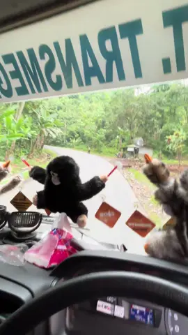 Jalur puncak🥱#drivertnjungpriok #angkogteam #fyp 