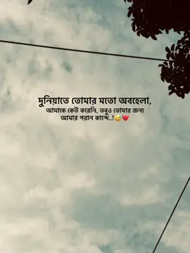 দুনিয়াতে তোমার মত অবহেলা., আমাকে কেউ করেনি, তবুও তোমার জন্য আমার পরান কান্দে..!😅💔 #fyp #trending #asmishal @TikTok 