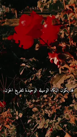 #عباراتكم_الفخمه📿📌 #تصويري📷 #قونيا #اكسبلور #تصميمي❤️  قد يكون البكاء الوسيله الوحيدة لتفريغ الحزن.