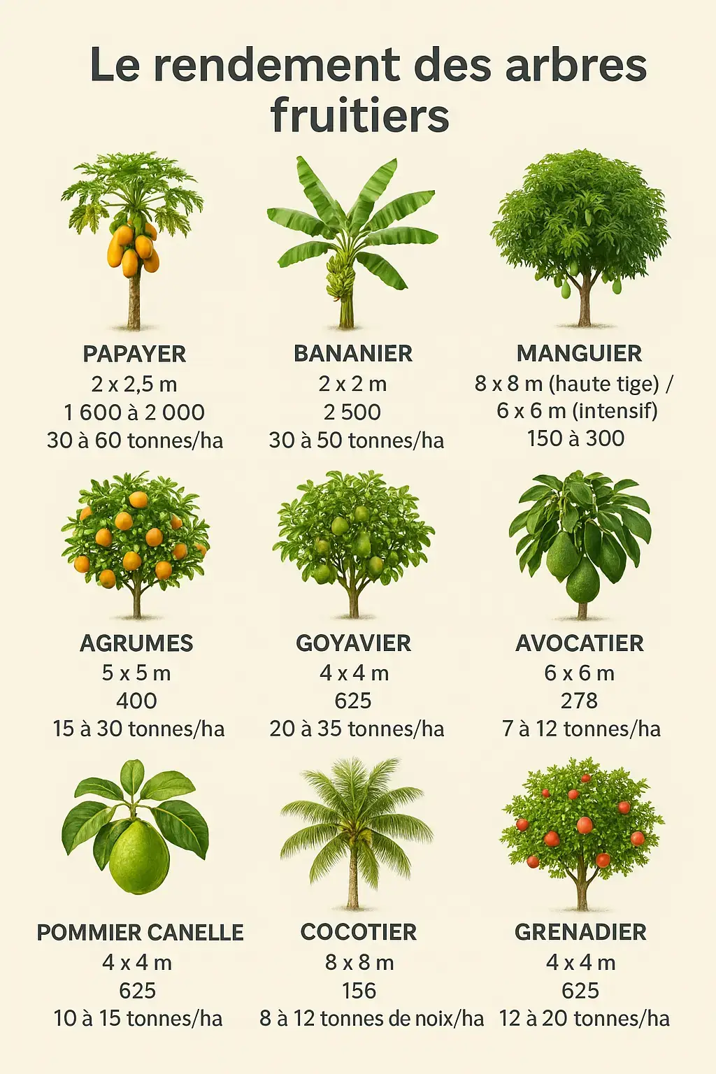 le rendement des arbres fruitiers 