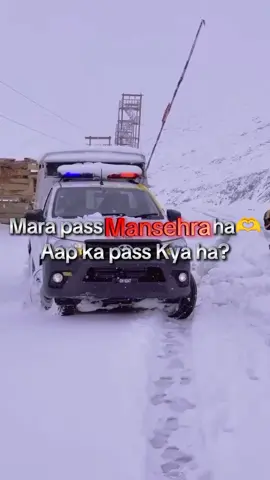 AP KA PASS KYA HA?#mansehra_hazara❤️😍 #kpkpolice #fypシ゚viral🖤tiktok #views20omillions #mansehrapolice🚔🚔 
