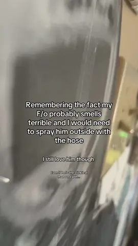 #fyp #yumeship #selfship #dialtown #shrine 