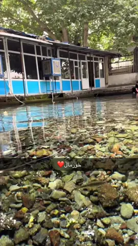 #ئەکتیڤبن🥀🖤ـہہـ٨ــہ #خورماڵ #هەورامان #هەورامان_خورمال_تەوێڵە #خورمال 