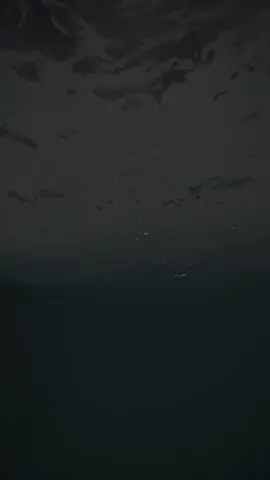 #quran1stquran #یاسرالدوسري #قران_كريم #قران #quran @Quran--قرآن @Mustqeem editz🖋️ 