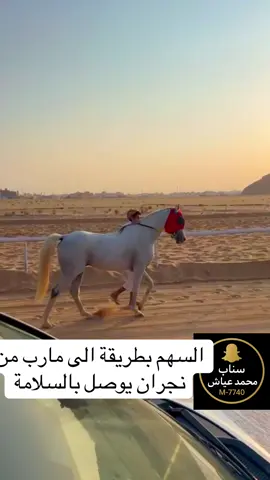 #مارب_شبوه_الجوف 