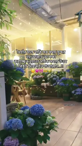 Inshallha 😌💗🎀🫶✨#vairal #vairalvideo #foryou #foryoupage #foryoupageofficiall 