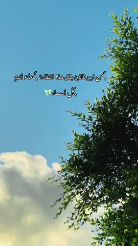 #بنغازي_ليبيا🇱🇾 #اكسبلورexplore #اغدا_القاك 