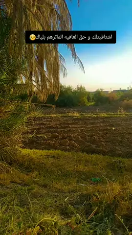 مساء الخير والعافية #الشطرة #الشطره_ولايتي #الناصريه #ذواقين__الشعر_الشعبي 