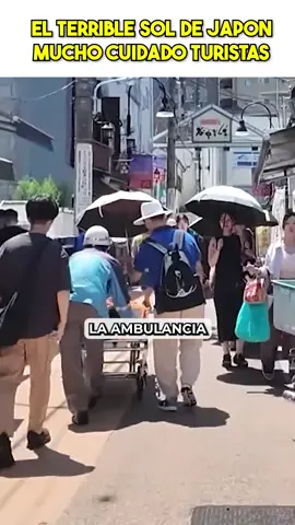 japatonic en youtube para mas contenido de japon #vidaenjapon #japonesas #japon #comidajaponesa #viajejapon  