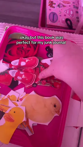 i’m in love 😭 i thrifted her for $1. my favorite way to junk journal is by colors so all of this will fit so well #houseplantmother #fyp #junkjournal #junkjournaling #junkjournalideas 