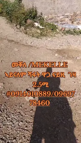#viral 