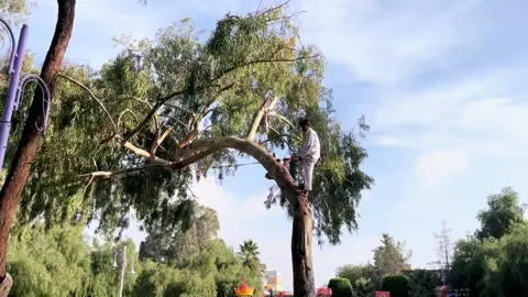 #حديقةالاندلس_ابها #تصويري_احترافي_الاجواء👌🏻🕊 