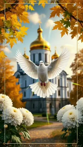С Добрым утром воскресенья. 12 октября  # сдобрымутром # доброеутро # воскресенье # 12 # октября # liubov304 # доброеутро 