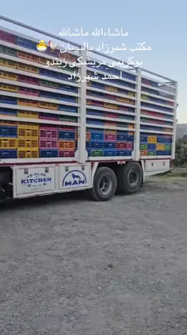 ماشاءالله ماشالله  احمد شيرزاد  07507924281       #hawller #hawller #fypage 