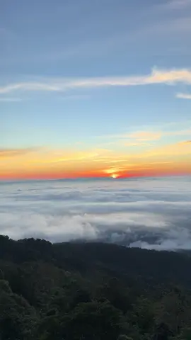 เอาบรรยากาศที่พักบนภูทับเบิกมาให้พี่ๆดูคับทะเลหมอกสวยมาก☁️ #ทะเลหมอก #ภูทับเบิก #เที่ยวภูทับเบิก #สุชาดาภูทับเบิก 