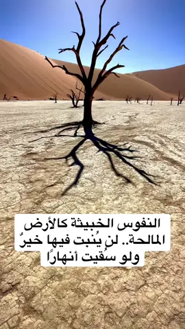 #السعودية🇸🇦 #الرياض #جدة #ترند #السعودية 