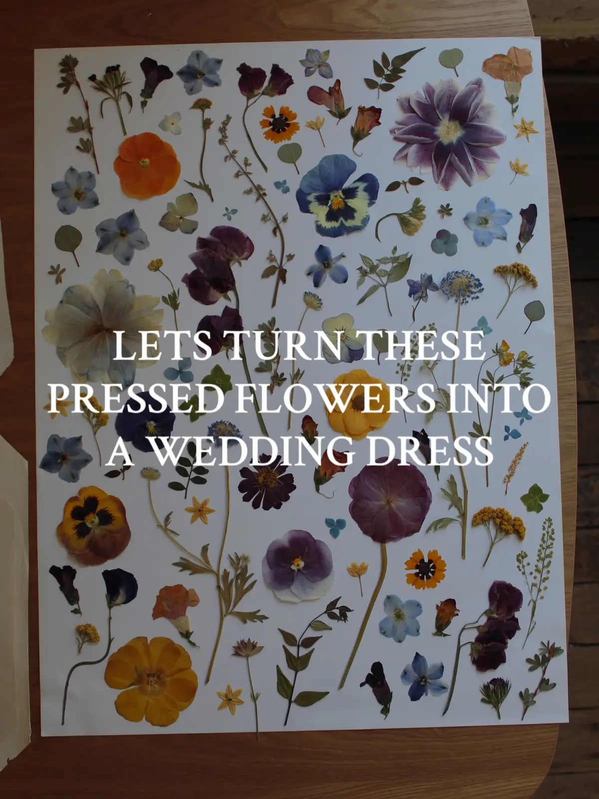 Could not love how this dress turned out more! I pressed & photographed the flowers, @Loulette Bride turned them into a silky wedding gown masterpiece, & @Rachel Leiner took the dreamiest photos. #weddingtiktok #flowerdress #uniqueweddingideas #weddinginspo #weddingdress 