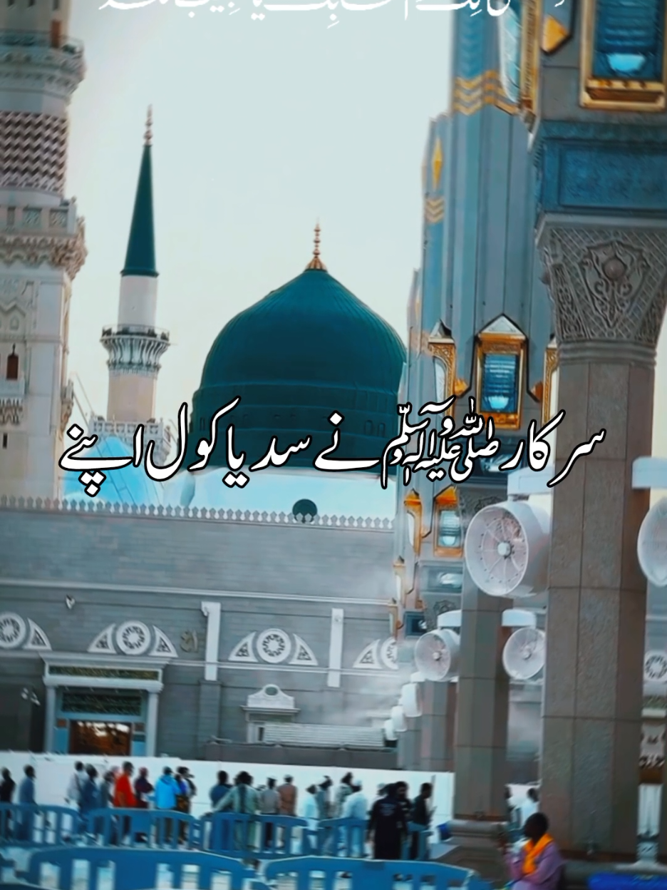 سرکارؐ نے سدیا کول اپنے🕊️❤️💫🎀🙌🥀🦋✨#unfreezmyaccount #🕋📿🕌regay_islam🌼🦋🤲 #ilovemuhammad #naatstatus #whatsappstatus 