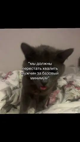 @Спокойнич  #teamwork #fyp #переписка #любовь #рекомендации 