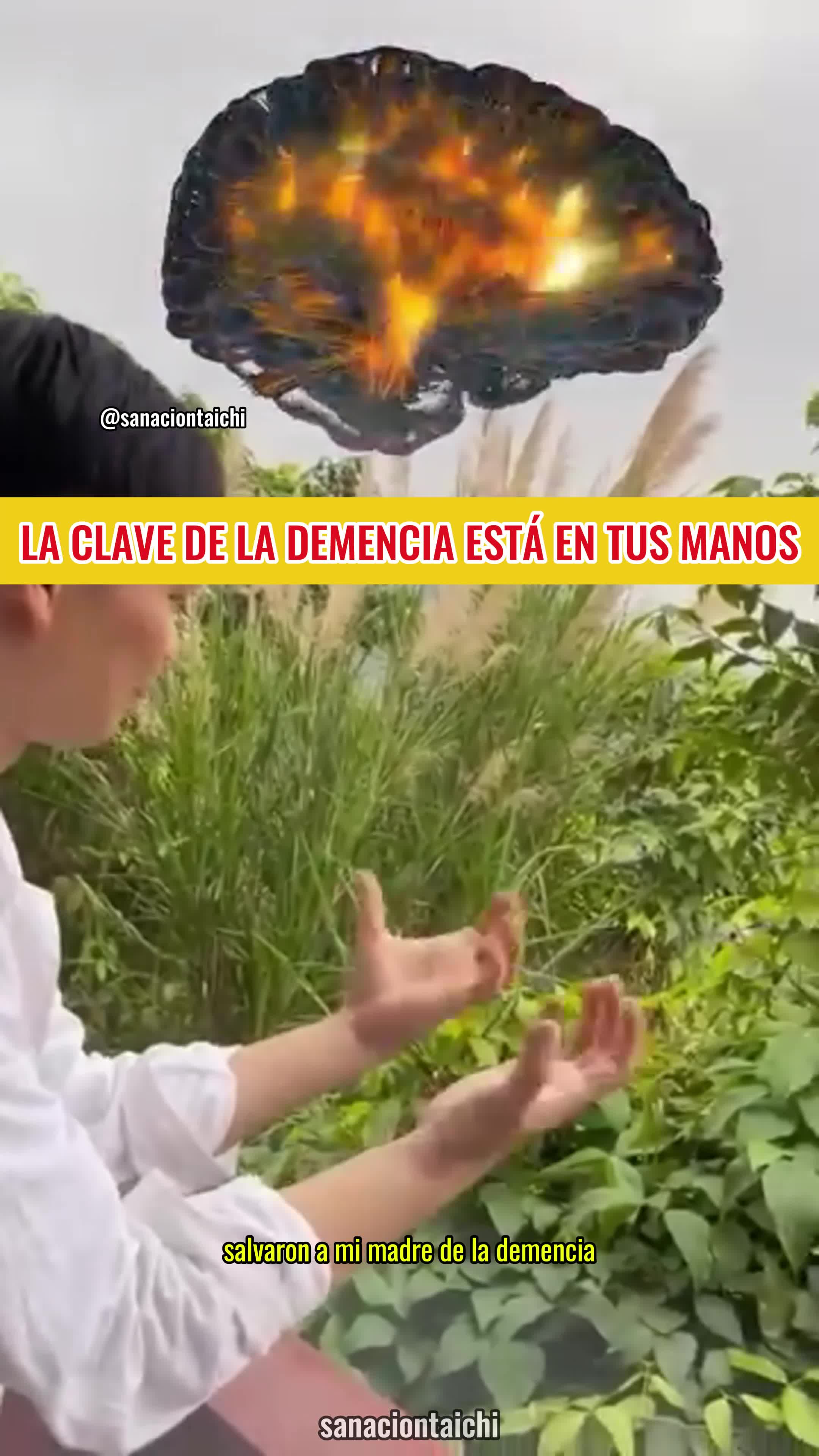 Mantenga su memoria activa con 5 minutos de movimientos simples 🧠✨ #MemoriaActiva #SaludCerebral #PrevenciónDeDemencia #EjerciciosParaLasManos #Bienestar #MenteSana #Longevidad #VitalidadCerebral