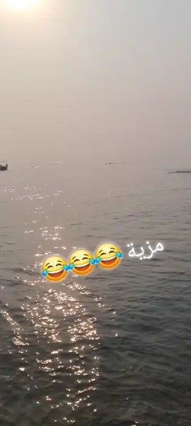 #مشاهير_تيك_توك_مشاهير_العرب #😂😂😂 #الشلفي #الشعب_الصيني_ماله_حل😂😂 #الشلفاوة_والحلاوة 