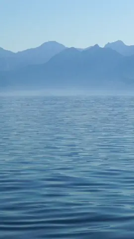 Dean Lewis Waves #music  #lyrics  #fyp  #waves  #deanlewis  @Dean Lewis @Dean Up Close @DeanFans 