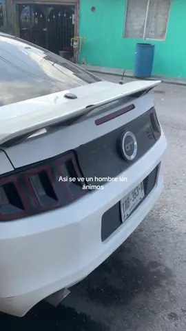 #mustang #hombre #vida #motivacion #fyp