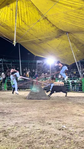 Bendito México ❤️😂 #toros #jaripeo_ranchero #jaripeo 