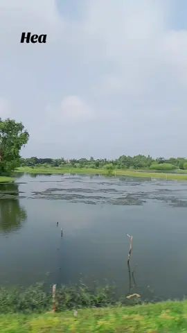 #sadvideo😓  #sobai_akto_copy_link_kore_diba_plz 