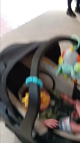 this tree looks unamused 