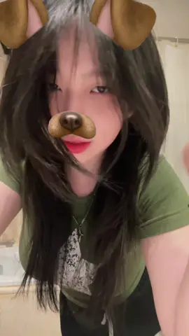 cute little puppy kitten yare yare