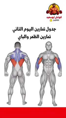 جدول تمارين عضلة الظهر والباي اليوم الثاني #اكسبلور #كمال_اجسام #رياضة_كمال_اجسام #workoutmotivation #تمارين 