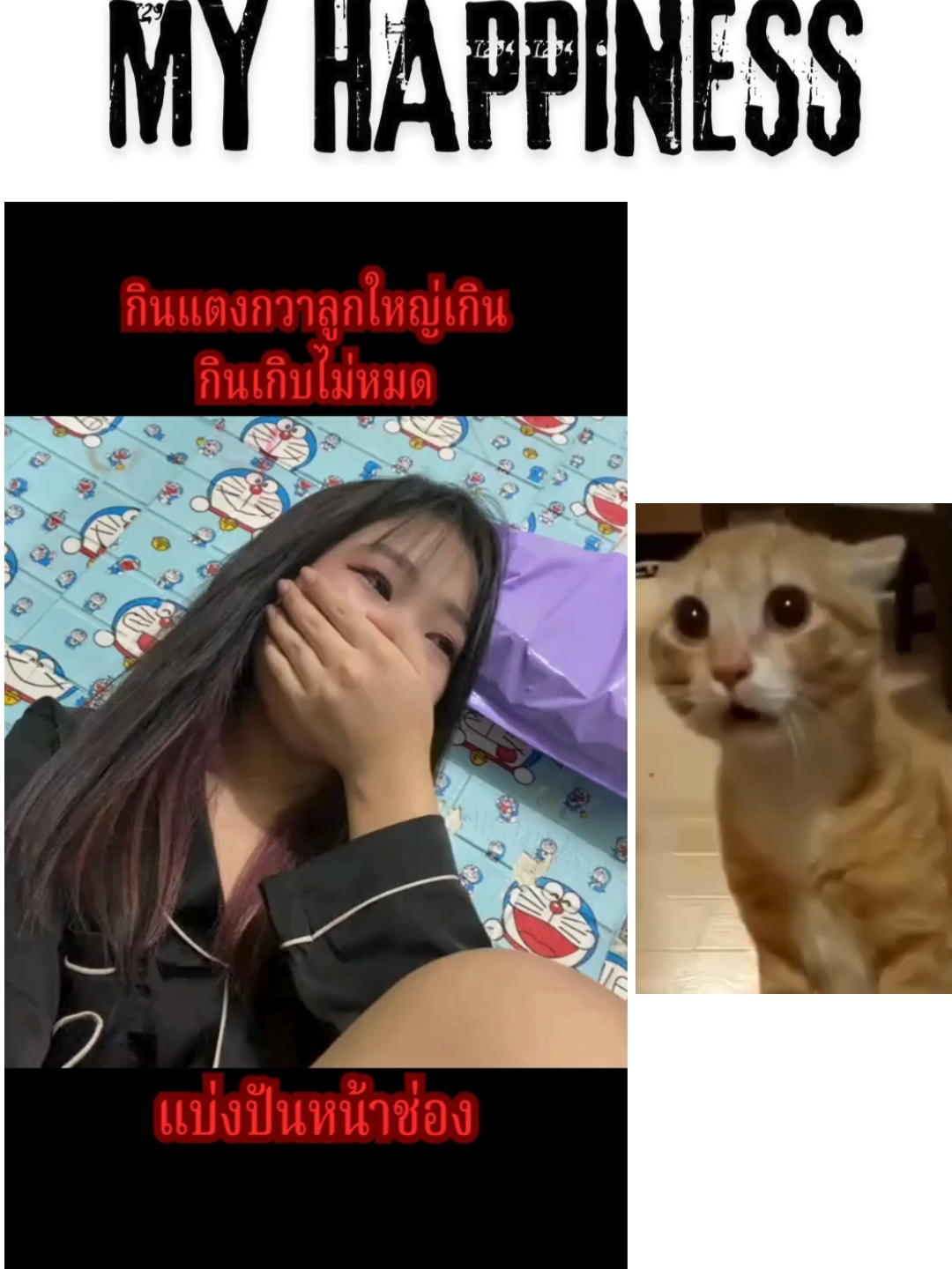 #ฟีดดดシ #ชอบก็ตาม #ความสุขมีได้ทุกวัน #เทนร์วันนี้