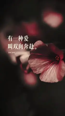 #念心 遇到双向奔赴的爱情，是一种恩赐，只有真正的相爱，才会打心底觉得对方都特别好，因为这样的爱，会使人内心柔软、自信且勇敢，也因为这样的爱，而觉得生活美好且浪漫。