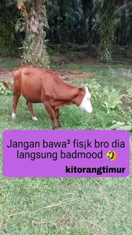 kebanyakan merkucritt🤣#skincare #fyp #trending #viral #sapi 