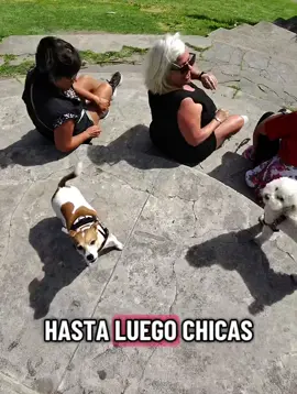 RECIBÍ UN ATAQUE 😂🐶🥰  #humor #piropo #comedia #abuela #chicas 