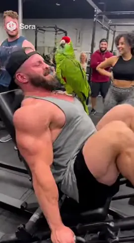 Motivational Parrot ROASTS Owner in the Gym 😂💪  #FunnyAnimals #TalkingParrot #PoliceHumor #ViralVideo #usatrend 