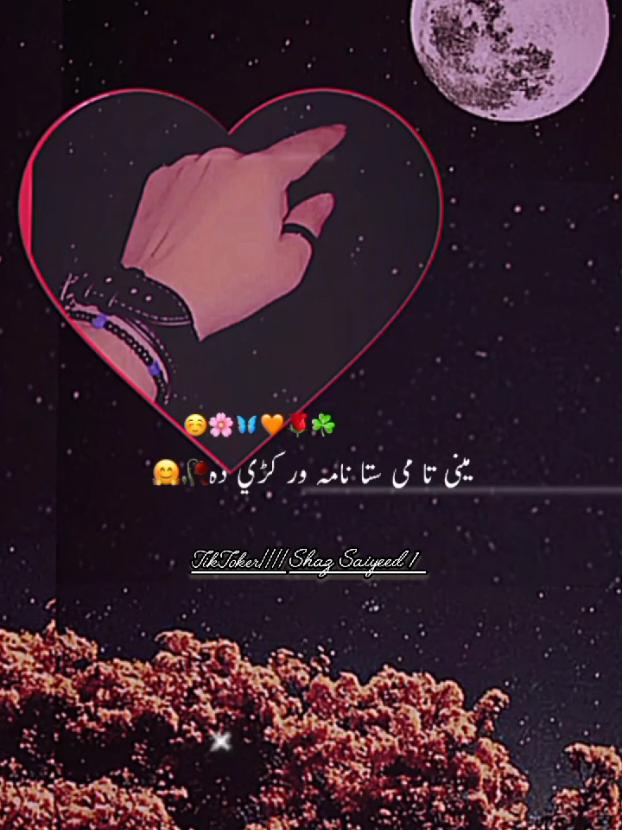Minaa //❣️❣️/Ta Mi Sta Naama Warkre Daa//❤️🔥Jan 💕🤍💙💯 #poshtopeotry #viralvoice #foryou #growmyaccount #unfrezzmyaccount plz TikTok viral my video 🙏 support me,,, 🙏