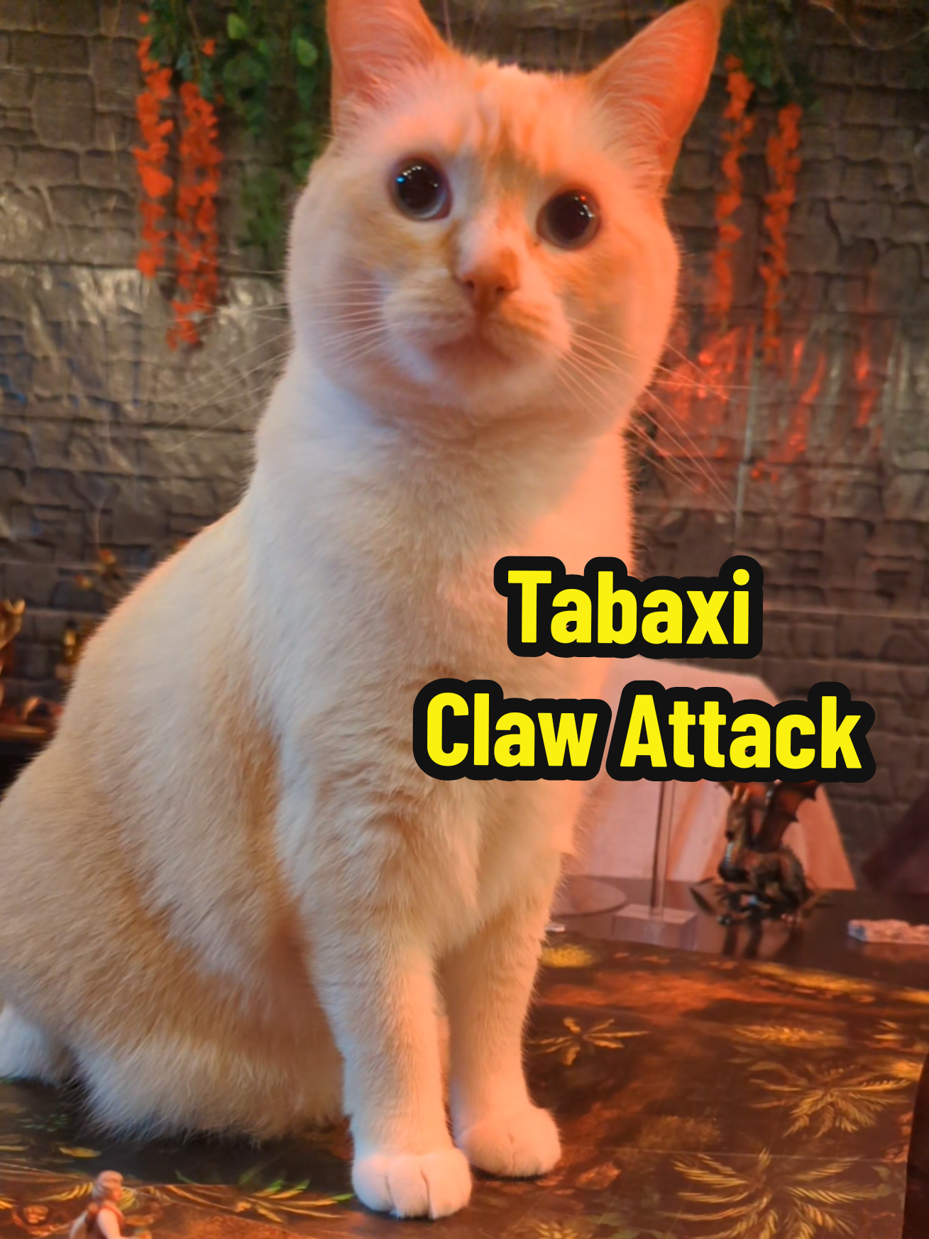 How can you tell if your cat watches too much @Critical Role? #criticalrole #catsoftiktok #dungeonsanddragons #dndtiktok #catvideo
