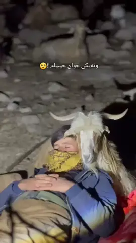 #وتەیکی_جوان_بنوسە💔🥺 #ئەکتیڤبن🥀🖤ـہہـ٨ــہ 