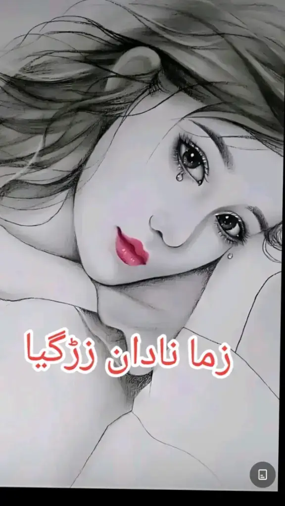ستہ لیوانی ستہ صوابی والا ❤️‍🩹❤️‍🩹❤️‍🩹❤️‍🩹##🥺🥺🥺🥺🫀🫀🫀🫀💔💔💔💔🥀🥀🥀🥀🔥🔥🔥💯💯💯 #roomdesign #